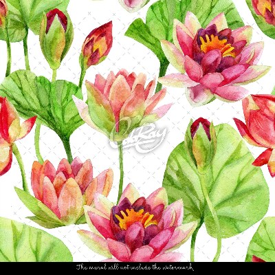 Wandtapete Süße Lotusblüten