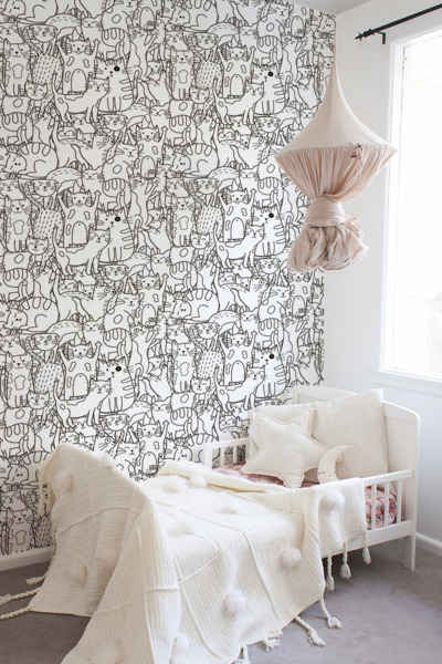 Fototapete Katzenland