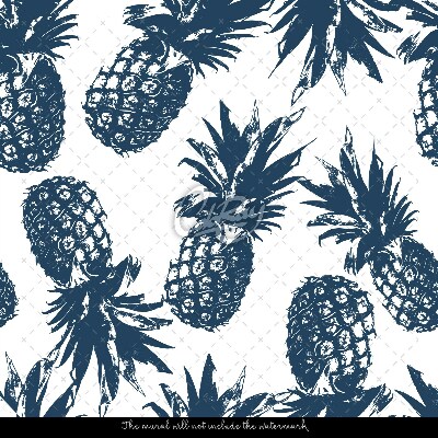 Bildtapete Designer-Ananas-Skizze