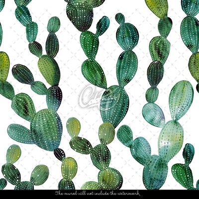 Bildtapete Kaktus Netz