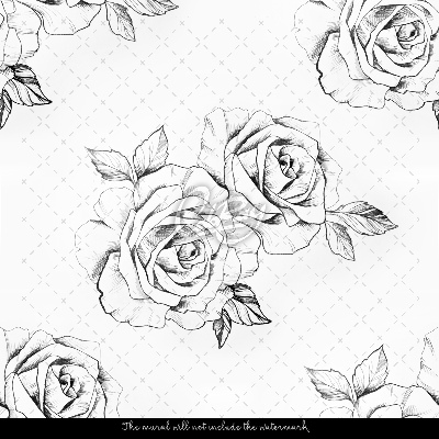 Bildtapete Romantische Rose Skizzen