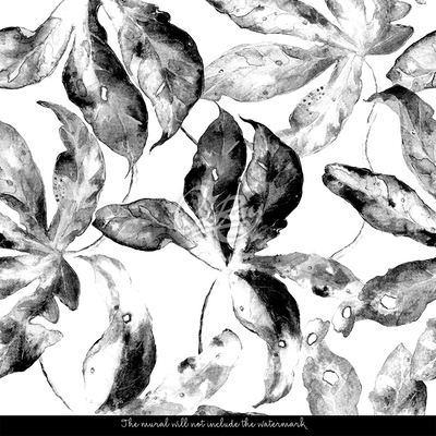 Fototapete Blätter in Schwarz und Weiß