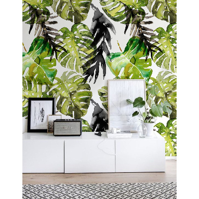 Bildtapete Moro Monstera-Blätter