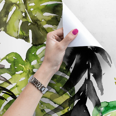Bildtapete Moro Monstera-Blätter