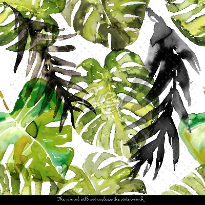 Bildtapete Moro Monstera-Blätter