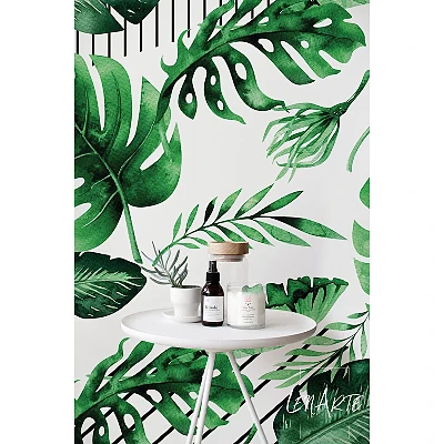 Foto tapete Gestreifte Monstera