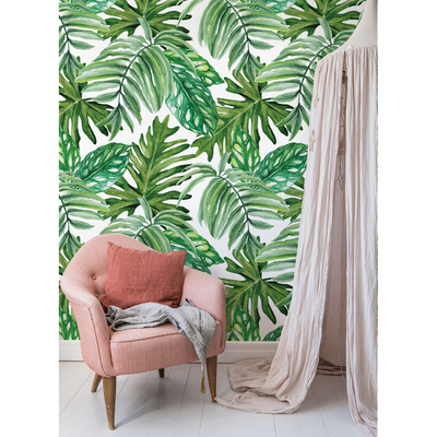 Foto tapete Dschungel-Monstera