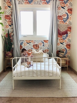 Photowall tapete Orangefarbene Mohnblumen