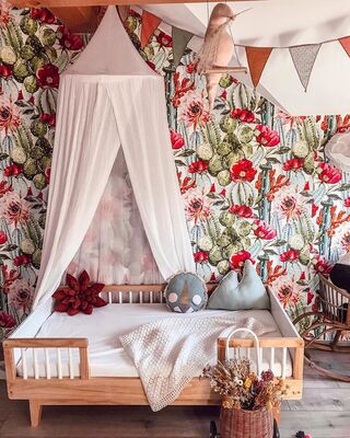 Motivtapete Opuntien in voller Blüte