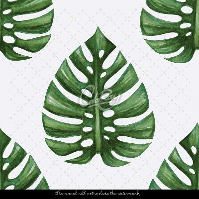 Photowall tapete Hohle Monstera