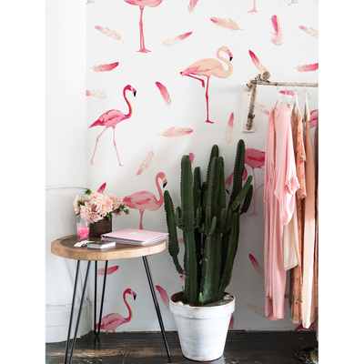 Foto tapete Flamingos und Federn
