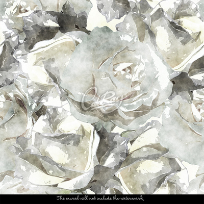 Motivtapete Eine Abstraktion zum Thema weiße Rosen