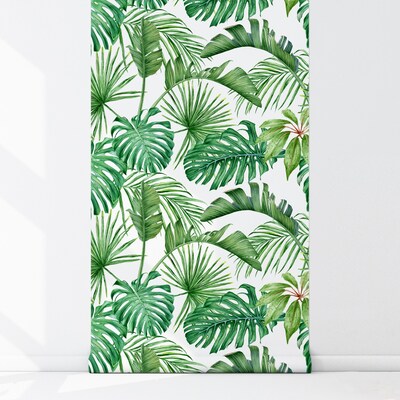 Motivtapete Monstera Dschungel