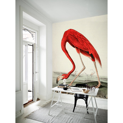 Foto tapete Lustiger Flamingo