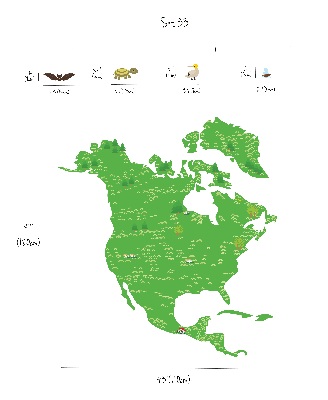 Wandsticker Nord-Amerika