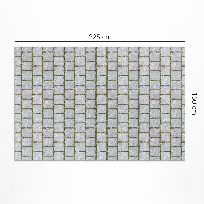Vinyl teppich läufer Steinweg Mit Moos