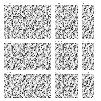 Fensterfolie Sichtschutz Tropische Blätter