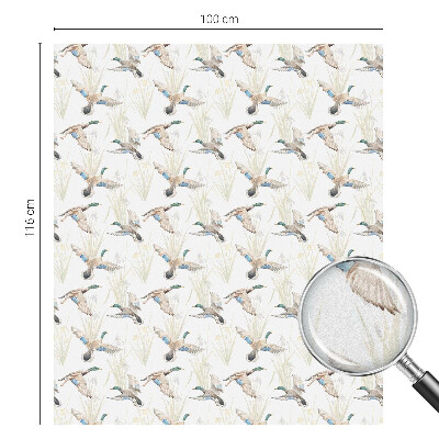 Toom Sichtschutzfolie Vögel Natur