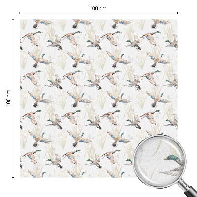 Toom Sichtschutzfolie Vögel Natur