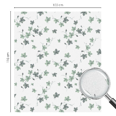Fensterfolie Sichtschutz Grüne Ranke