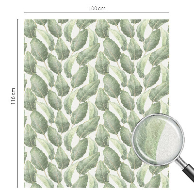 Sichtschutz Klebefolie für Fenster Grüne Blätter