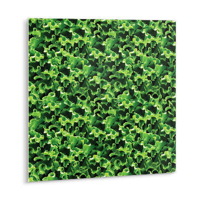 Vinyl fliesen selbstklebend Grüne Salatblätter