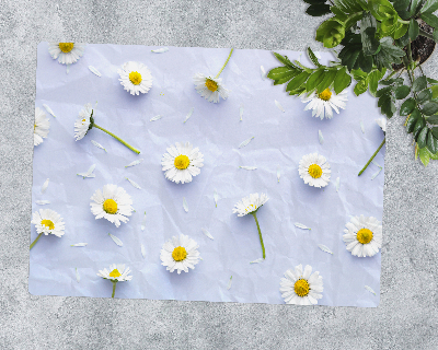 Bodenschutzmatte Weiße Gänseblümchen