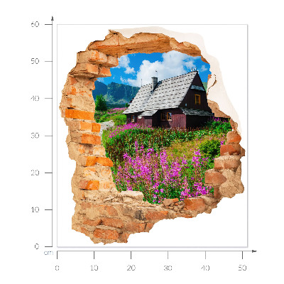 3D Wandtattoo Loch in der Wand 51x60 Ländliche Landschaft