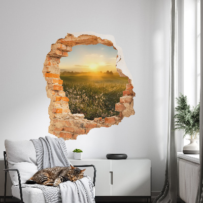 3D Wandtattoo Loch in der Wand 51x60 Sonnige Wiese