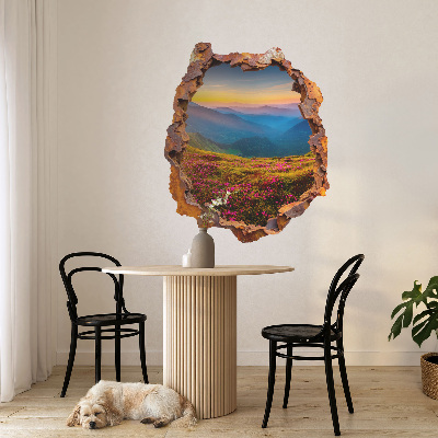 3D Wandtattoo Loch in der Wand 66x80 Blumenberge