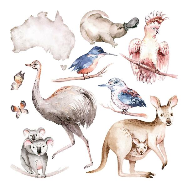 Wandaufkleber 60x76 Australische Fauna in zarten Pastelltönen