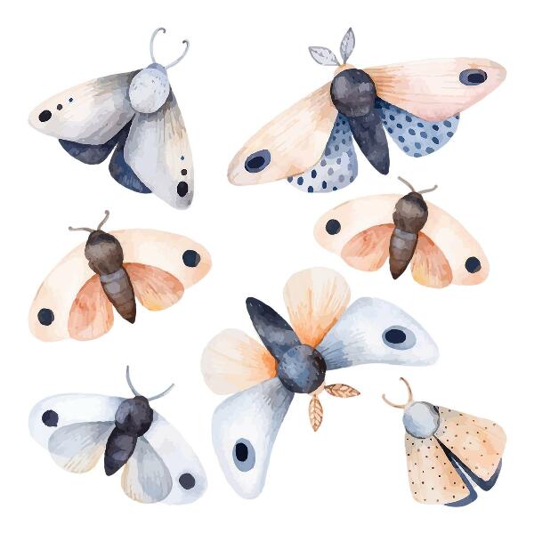 Wandsticker 80x103 Pastellmotten im Boho-Stil mit bunten Insekten
