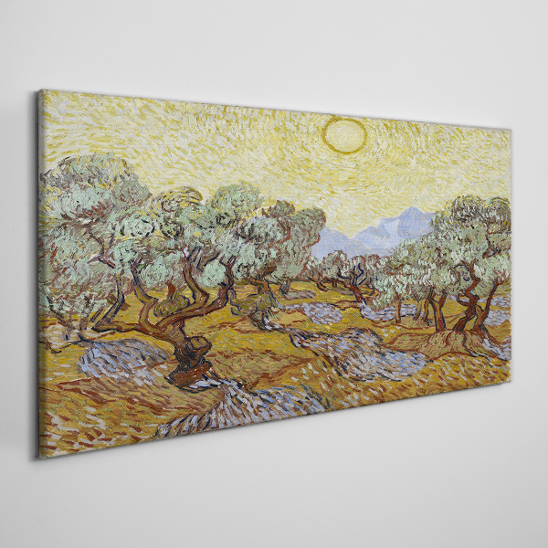 Foto auf leinwand Olivenbäume in der Sonne