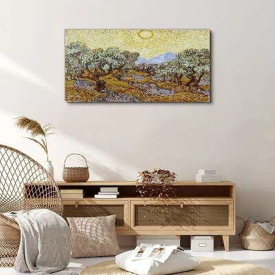 Foto auf leinwand Olivenbäume in der Sonne