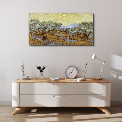 Foto auf leinwand Olivenbäume in der Sonne