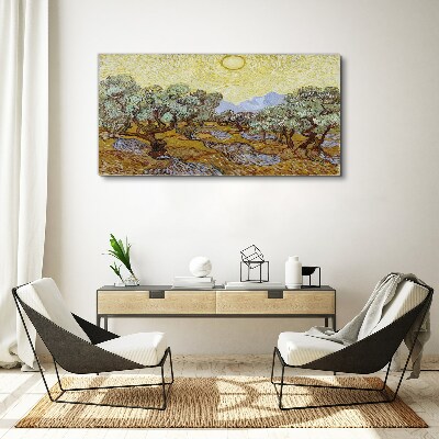 Foto auf leinwand Olivenbäume in der Sonne