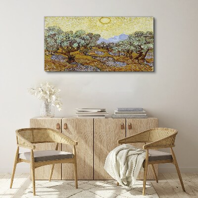 Foto auf leinwand Olivenbäume in der Sonne