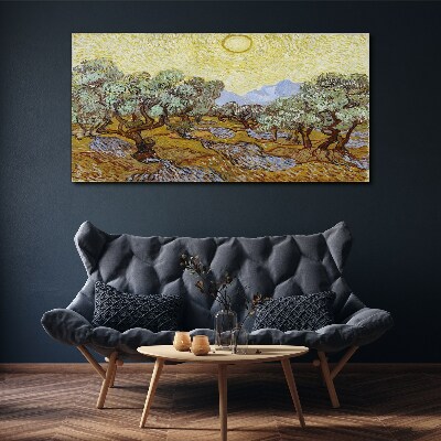Foto auf leinwand Olivenbäume in der Sonne