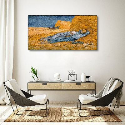 Bild auf leinwand Ruhen zwischen den goldenen Feldern