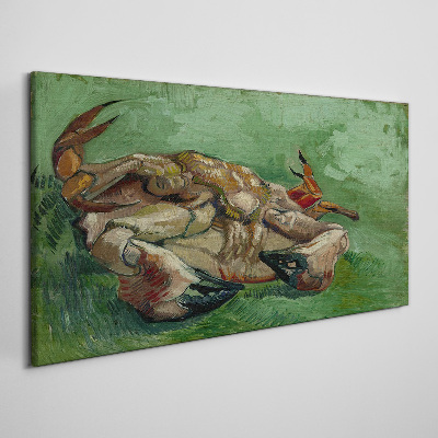 Leinwandbild Krabbe auf dem Rücken Van Gogh