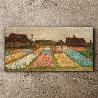 Bild auf leinwand Frühlingstulpenfelder