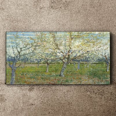 Foto leinwand Blühende Bäume in der Frühlingssonne