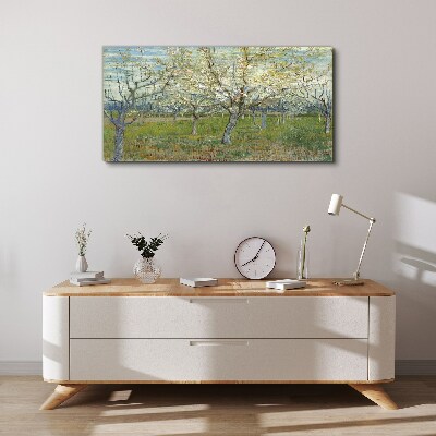 Foto leinwand Blühende Bäume in der Frühlingssonne