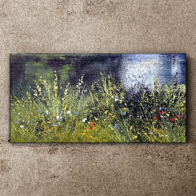 Foto auf leinwand Blumenwiese im Licht