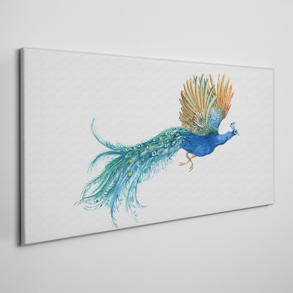 Foto leinwand Bunter Pfau in Bewegung