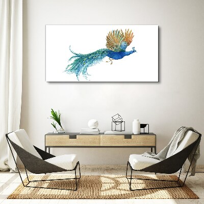 Foto leinwand Bunter Pfau in Bewegung