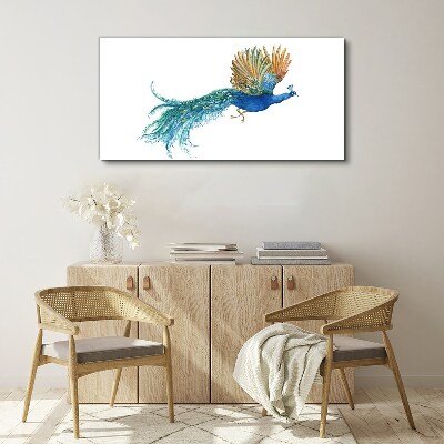 Foto leinwand Bunter Pfau in Bewegung