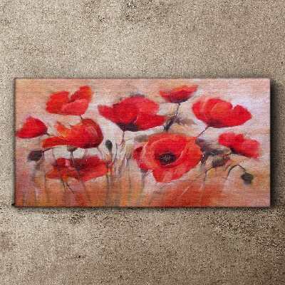 Bild auf leinwand Rote Mohnblumen auf pastellfarbenem Hintergrund
