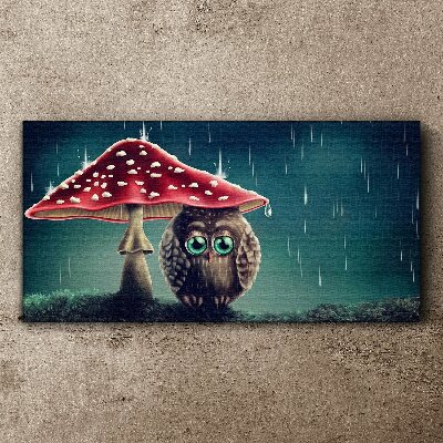 Foto auf leinwand Eine Eule unter einem Pilz im Regen