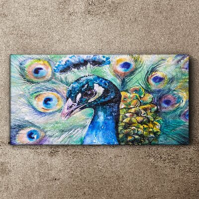 Foto auf leinwand Bunter Pfau zwischen Federn